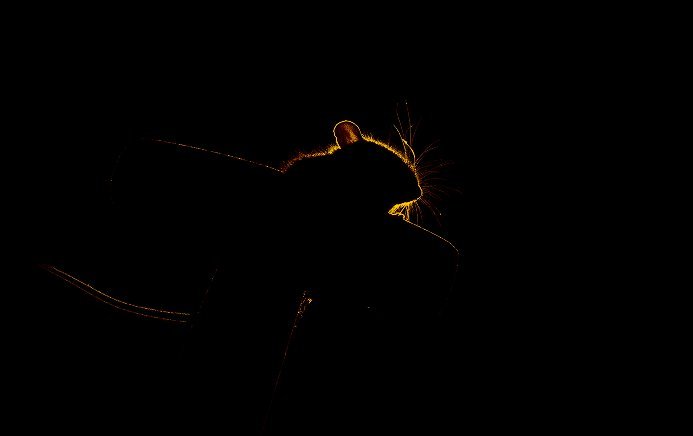 A rat in silhouette against a dark background