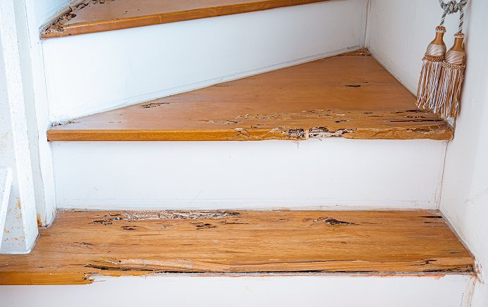 Termite-damaged wooden stair treads