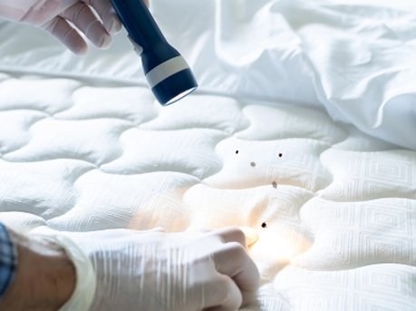 Inspecting a mattress seam for bed bugs with a torch