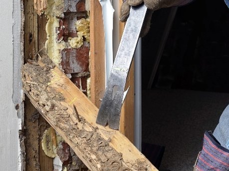 Cutting away a termite-damaged timber door frame