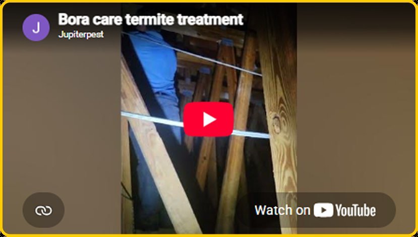 Still from the Bora care termite treatment video