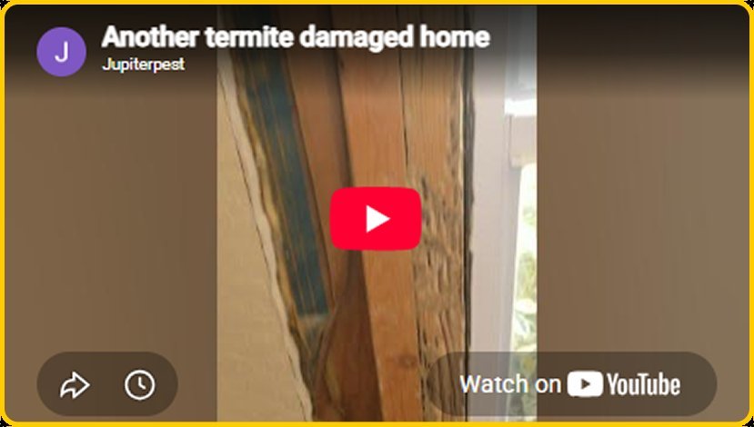 Still from the Another termite damaged home video