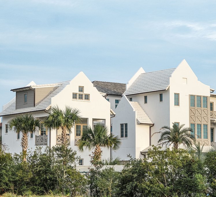Seasonal pest threats affecting Florida homes