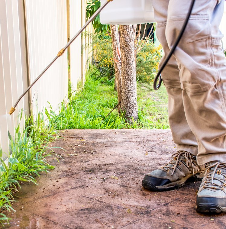 A technician spraying the base of a wall beside a garden bed